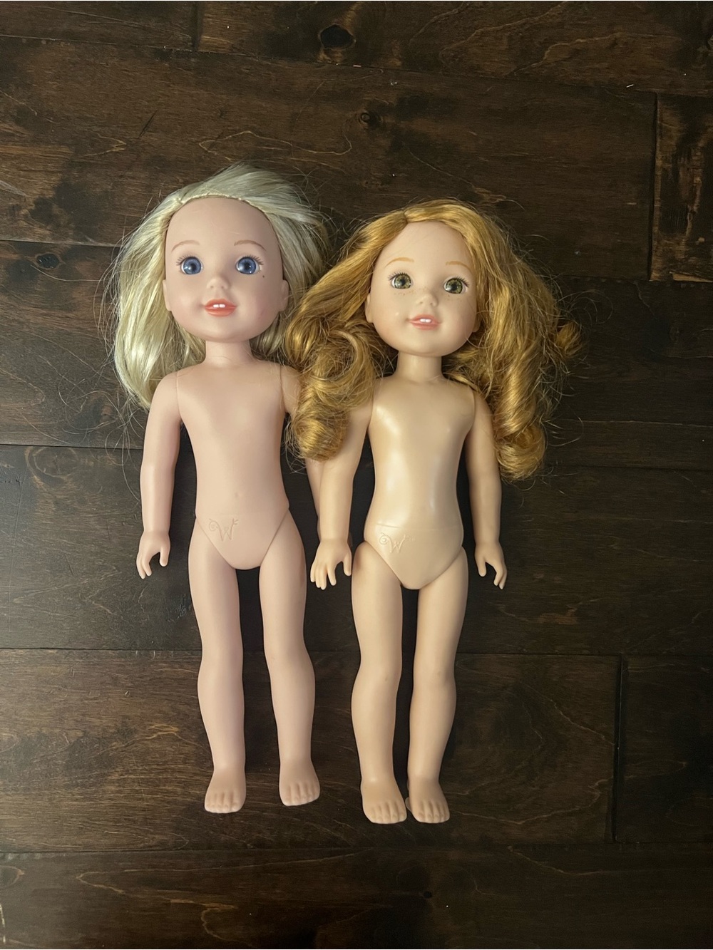 American Girl WellieWishers